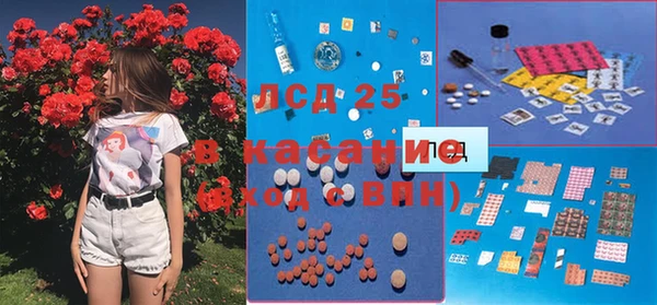 прущие грибы Армянск