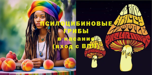 таблы Аркадак