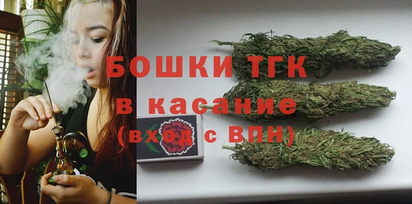 прущие грибы Армянск