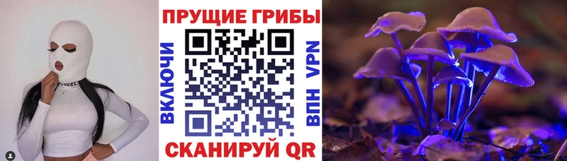 Галлюциногенные грибы Psilocybe  omg онион  Артёмовск 